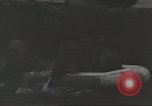 Immagine di 1a divisione di cavalleria Teatro pacifico, 1945, secondo 42 filmato di repertorio 65675059146