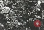 Immagine di 1a divisione di cavalleria Teatro pacifico, 1945, secondo 51 filmato di repertorio 65675059146