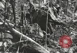 Immagine di 1a divisione di cavalleria Teatro pacifico, 1945, secondo 57 filmato di repertorio 65675059146