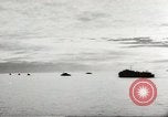 Immagine di Stati Uniti õ esercito Oceano Pacifico, 1944, secondo 50 filmato di repertorio 65675059148