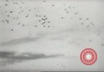 Immagine di Generale MacArthur Filippine, 1945, secondo 46 filmato di repertorio 65675059157