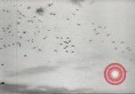 Immagine di Generale MacArthur Filippine, 1945, secondo 47 filmato di repertorio 65675059157