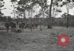 Image of Lieutenant General Krueger Queensland Australia, 1944, second 37 stock footage video 65675059168
