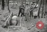 Image of Lieutenant General Walter Krueger Queensland Australia, 1943, second 39 stock footage video 65675059170