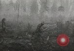 Image of Soviet offensive against German forces Soviet Union, 1944, second 10 stock footage video 65675059174