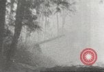 Image of Soviet offensive against German forces Soviet Union, 1944, second 23 stock footage video 65675059174
