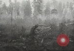 Image of Soviet offensive against German forces Soviet Union, 1944, second 24 stock footage video 65675059174