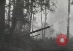 Image of Soviet offensive against German forces Soviet Union, 1944, second 25 stock footage video 65675059174