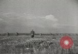 Image of Soviet offensive against German forces Soviet Union, 1944, second 51 stock footage video 65675059174