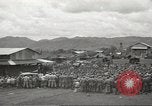 Image of Joe E Brown Luzon Island Philippines, 1945, second 19 stock footage video 65675059177