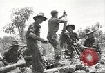 Standbild Australische Soldaten Zweiten Weltkrieg Dschungel zu bekämpfen Tarakan Borneo Indonesien, 1945, aus Sekunde 12 historischem Filmmaterial Videoclip 65675059180