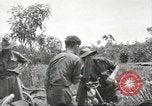 Standbild Australische Soldaten Zweiten Weltkrieg Dschungel zu bekämpfen Tarakan Borneo Indonesien, 1945, aus Sekunde 20 historischem Filmmaterial Videoclip 65675059180