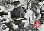 Standbild Australische Soldaten Zweiten Weltkrieg Dschungel zu bekämpfen Tarakan Borneo Indonesien, 1945, aus Sekunde 28 historischem Filmmaterial Videoclip 65675059180