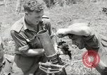 Standbild Australische Soldaten Zweiten Weltkrieg Dschungel zu bekämpfen Tarakan Borneo Indonesien, 1945, aus Sekunde 29 historischem Filmmaterial Videoclip 65675059180