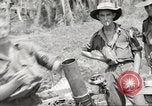 Standbild Australische Soldaten Zweiten Weltkrieg Dschungel zu bekämpfen Tarakan Borneo Indonesien, 1945, aus Sekunde 39 historischem Filmmaterial Videoclip 65675059180