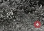 Image Les soldats australiens en combat Seconde Guerre Mondiale Tarkan Bornéo indonésien, 1945, de la seconde 20 séquences d'archives historiques vidéo 65675059181