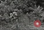 Image Les soldats australiens en combat Seconde Guerre Mondiale Tarkan Bornéo indonésien, 1945, de la seconde 21 séquences d'archives historiques vidéo 65675059181