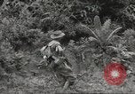 Image Les soldats australiens en combat Seconde Guerre Mondiale Tarkan Bornéo indonésien, 1945, de la seconde 22 séquences d'archives historiques vidéo 65675059181