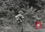 Image Les soldats australiens en combat Seconde Guerre Mondiale Tarkan Bornéo indonésien, 1945, de la seconde 23 séquences d'archives historiques vidéo 65675059181