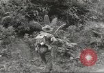 Image Les soldats australiens en combat Seconde Guerre Mondiale Tarkan Bornéo indonésien, 1945, de la seconde 25 séquences d'archives historiques vidéo 65675059181