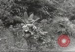 Image Les soldats australiens en combat Seconde Guerre Mondiale Tarkan Bornéo indonésien, 1945, de la seconde 26 séquences d'archives historiques vidéo 65675059181