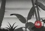 Standbild Private Snafu United States USA, 1945, aus Sekunde 29 historischem Filmmaterial Videoclip 65675059191