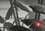 Standbild Private Snafu United States USA, 1945, aus Sekunde 30 historischem Filmmaterial Videoclip 65675059191