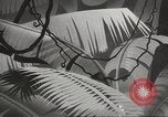 Standbild Private Snafu United States USA, 1945, aus Sekunde 32 historischem Filmmaterial Videoclip 65675059191