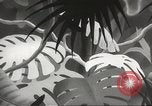 Standbild Private Snafu United States USA, 1945, aus Sekunde 36 historischem Filmmaterial Videoclip 65675059191