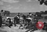 Image of African American college students during wartime World War 2 United States USA, 1943, second 21 stock footage video 65675059204