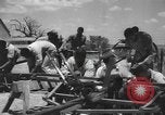 Image of African American college students during wartime World War 2 United States USA, 1943, second 24 stock footage video 65675059204