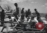 Image of African American college students during wartime World War 2 United States USA, 1943, second 29 stock footage video 65675059204