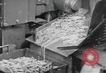 Image of Antioch College students United States USA, 1942, second 60 stock footage video 65675059212