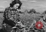 Image of Antioch College students Yellow Springs Ohio USA, 1942, second 36 stock footage video 65675059213