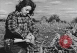 Image of Antioch College students Yellow Springs Ohio USA, 1942, second 37 stock footage video 65675059213