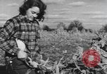Image of Antioch College students Yellow Springs Ohio USA, 1942, second 38 stock footage video 65675059213
