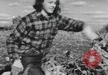 Image of Antioch College students Yellow Springs Ohio USA, 1942, second 40 stock footage video 65675059213
