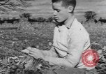 Image of Antioch College students Yellow Springs Ohio USA, 1942, second 41 stock footage video 65675059213