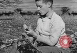 Image of Antioch College students Yellow Springs Ohio USA, 1942, second 42 stock footage video 65675059213