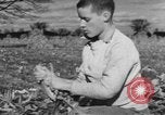 Image of Antioch College students Yellow Springs Ohio USA, 1942, second 43 stock footage video 65675059213