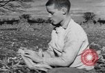 Image of Antioch College students Yellow Springs Ohio USA, 1942, second 44 stock footage video 65675059213