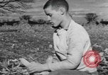 Image of Antioch College students Yellow Springs Ohio USA, 1942, second 45 stock footage video 65675059213
