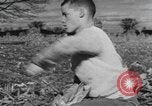 Image of Antioch College students Yellow Springs Ohio USA, 1942, second 46 stock footage video 65675059213