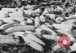 Image of Antioch College students Yellow Springs Ohio USA, 1942, second 48 stock footage video 65675059213