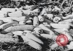 Image of Antioch College students Yellow Springs Ohio USA, 1942, second 49 stock footage video 65675059213