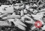 Image of Antioch College students Yellow Springs Ohio USA, 1942, second 50 stock footage video 65675059213