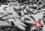Image of Antioch College students Yellow Springs Ohio USA, 1942, second 51 stock footage video 65675059213