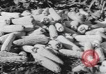Image of Antioch College students Yellow Springs Ohio USA, 1942, second 52 stock footage video 65675059213