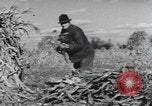 Image of Antioch College students Yellow Springs Ohio USA, 1942, second 53 stock footage video 65675059213