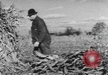 Image of Antioch College students Yellow Springs Ohio USA, 1942, second 54 stock footage video 65675059213